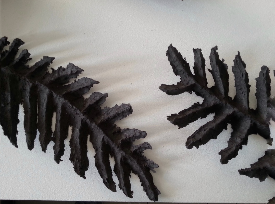 Dead leaves