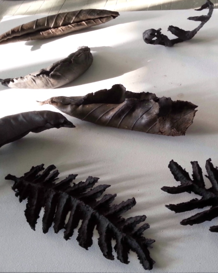 Feuilles mortes