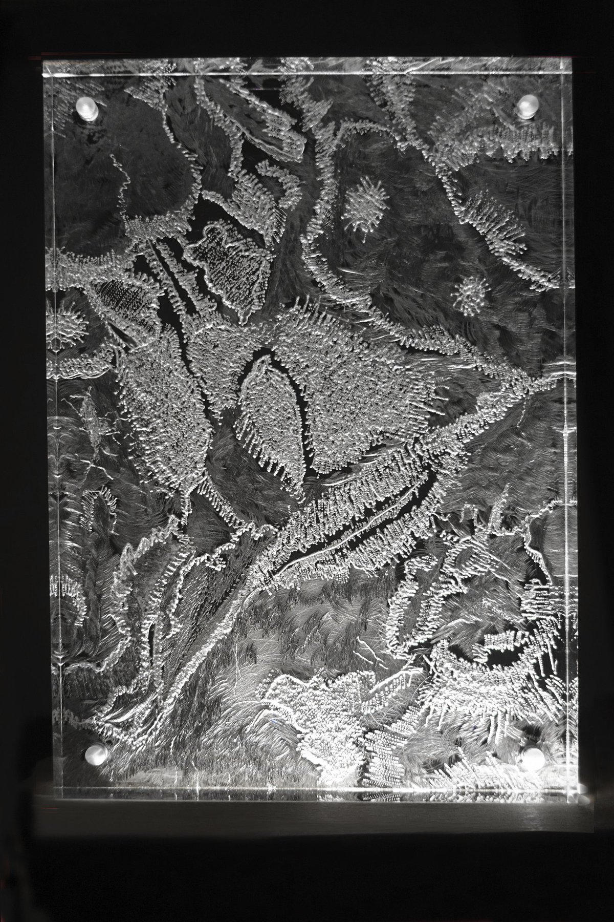 Dsc02660 1
