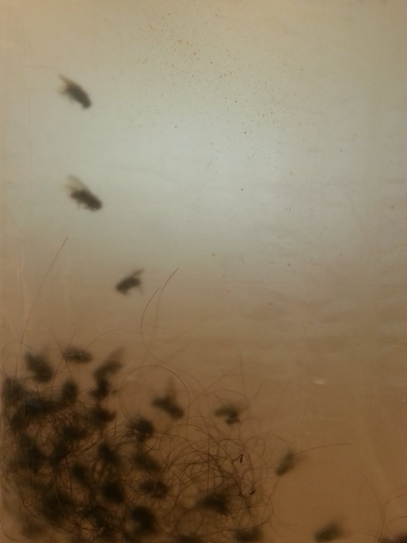 2015 06 05 12.19.59