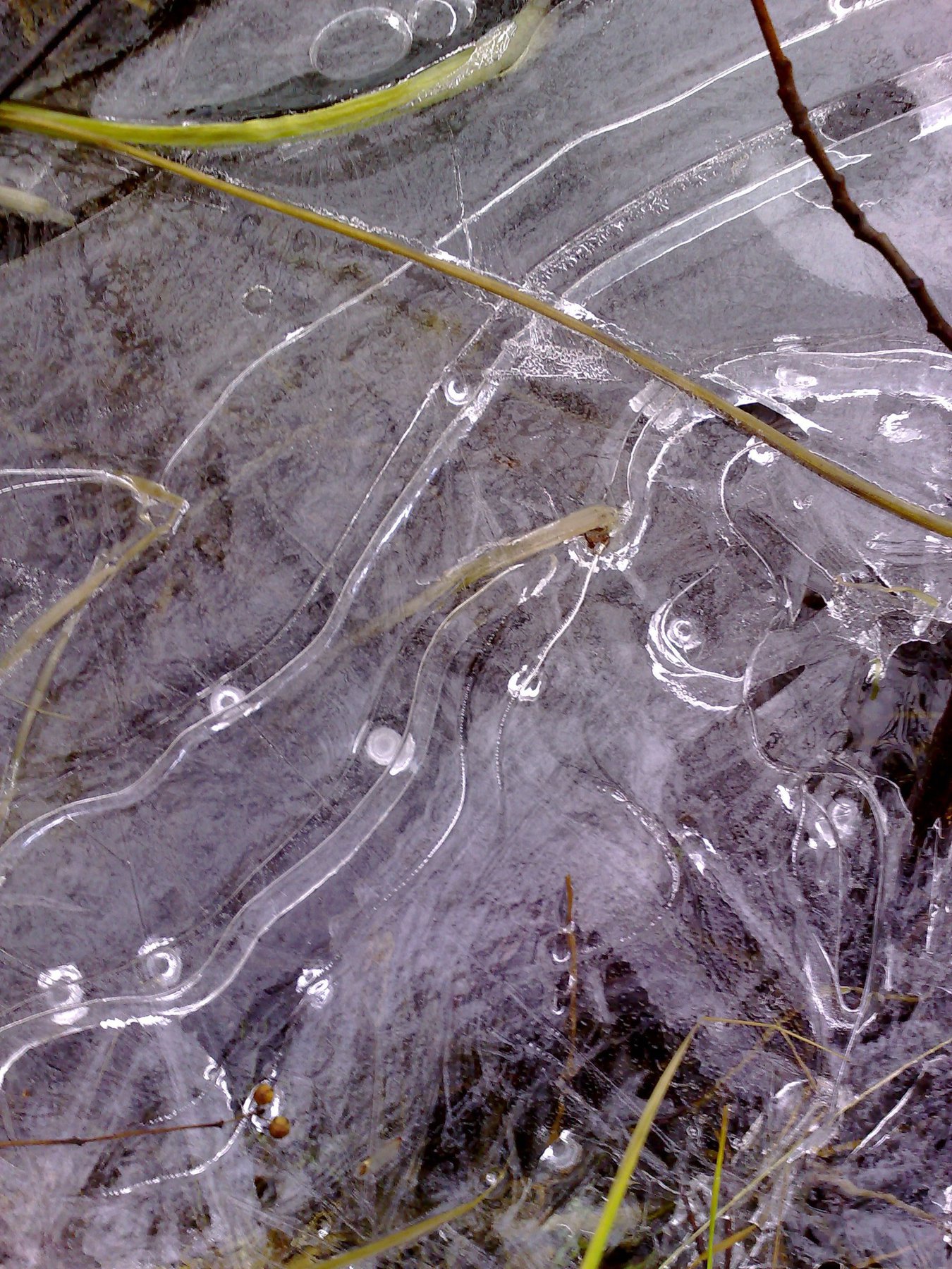 Autumn Ice 1