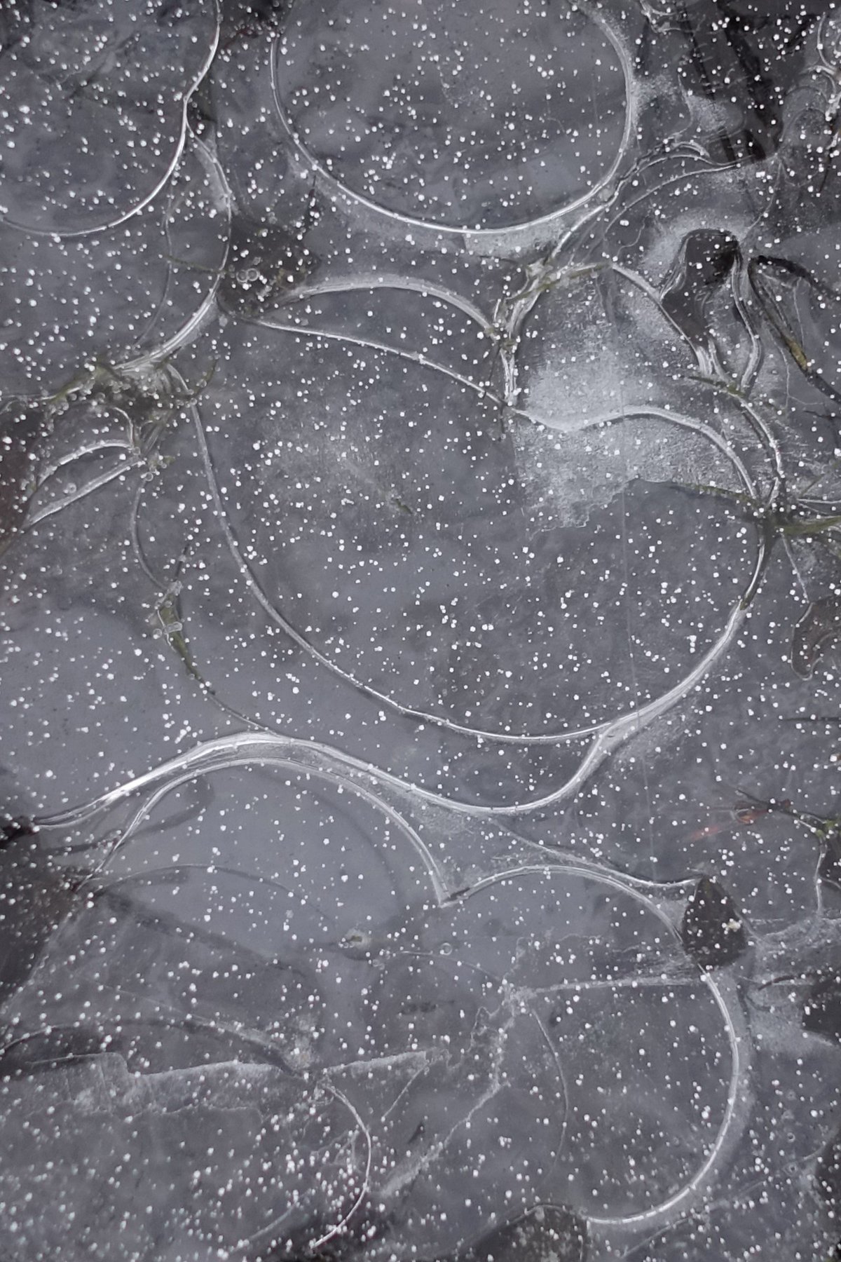 Autumn Ice 4