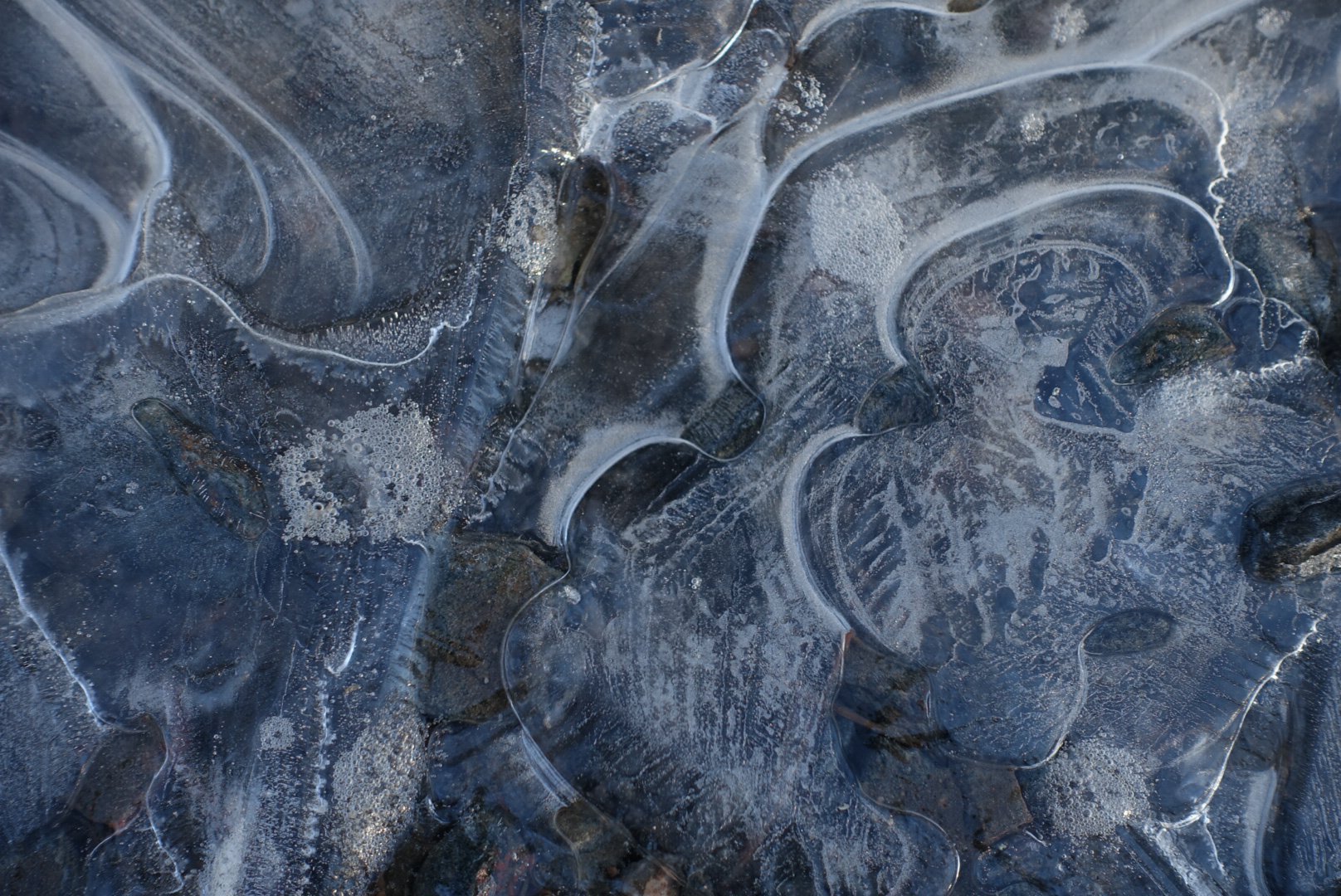 Autumn Ice 5