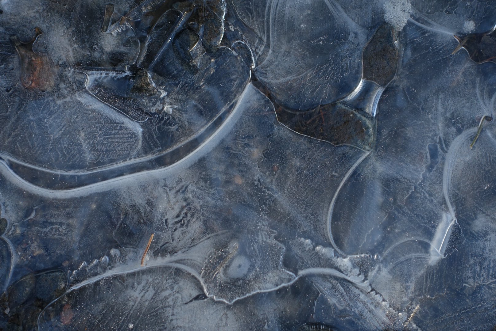 Autumn Ice 6