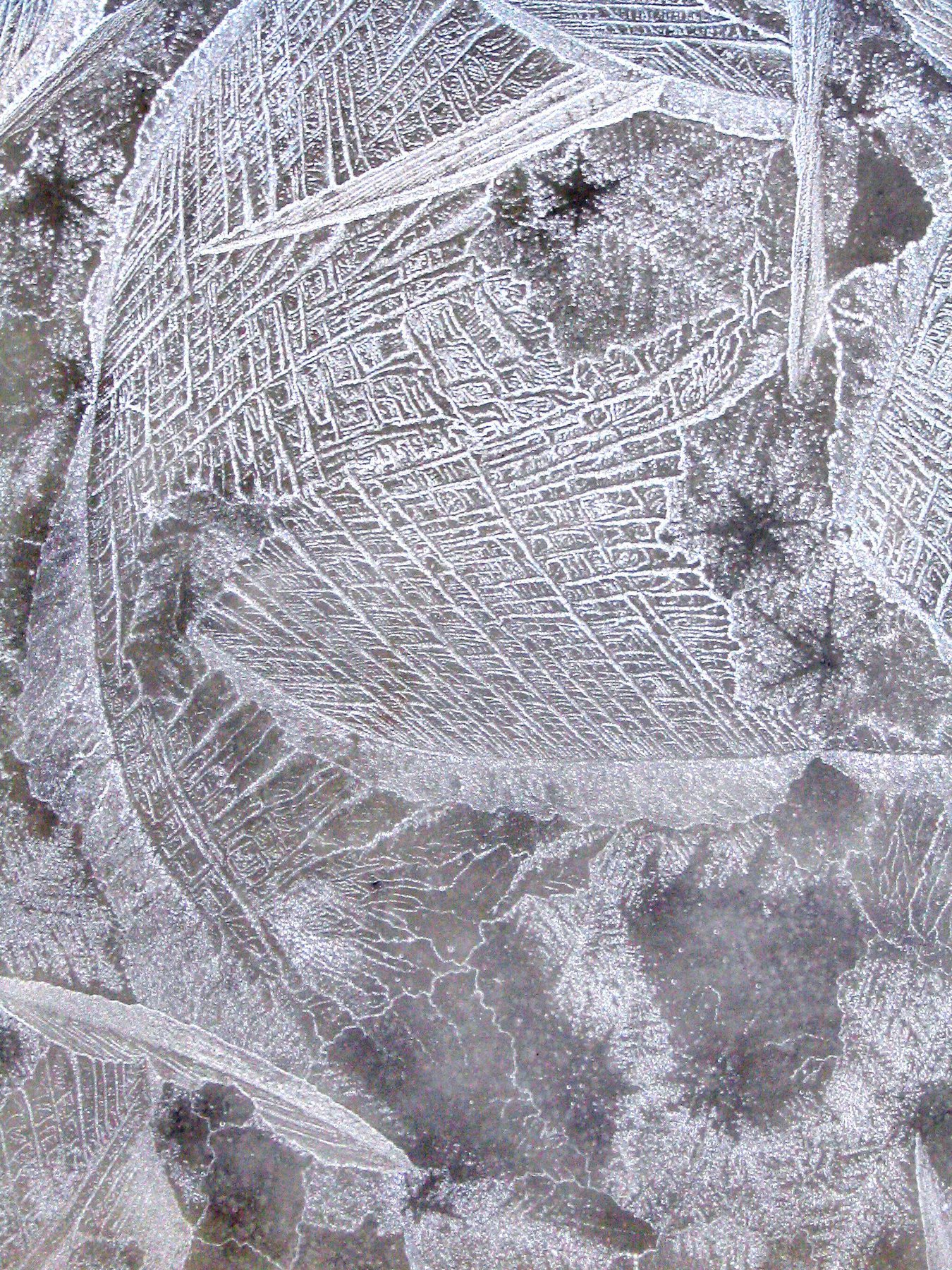 January Ice 2