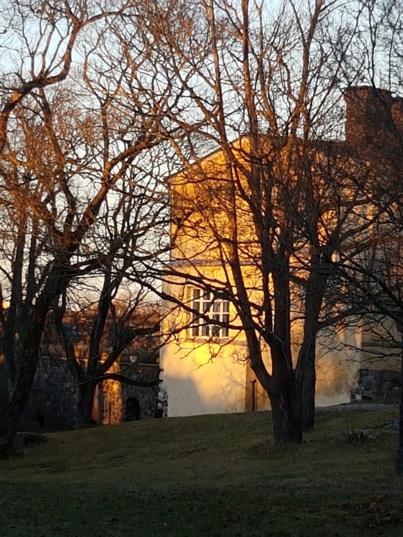 Winter Sun