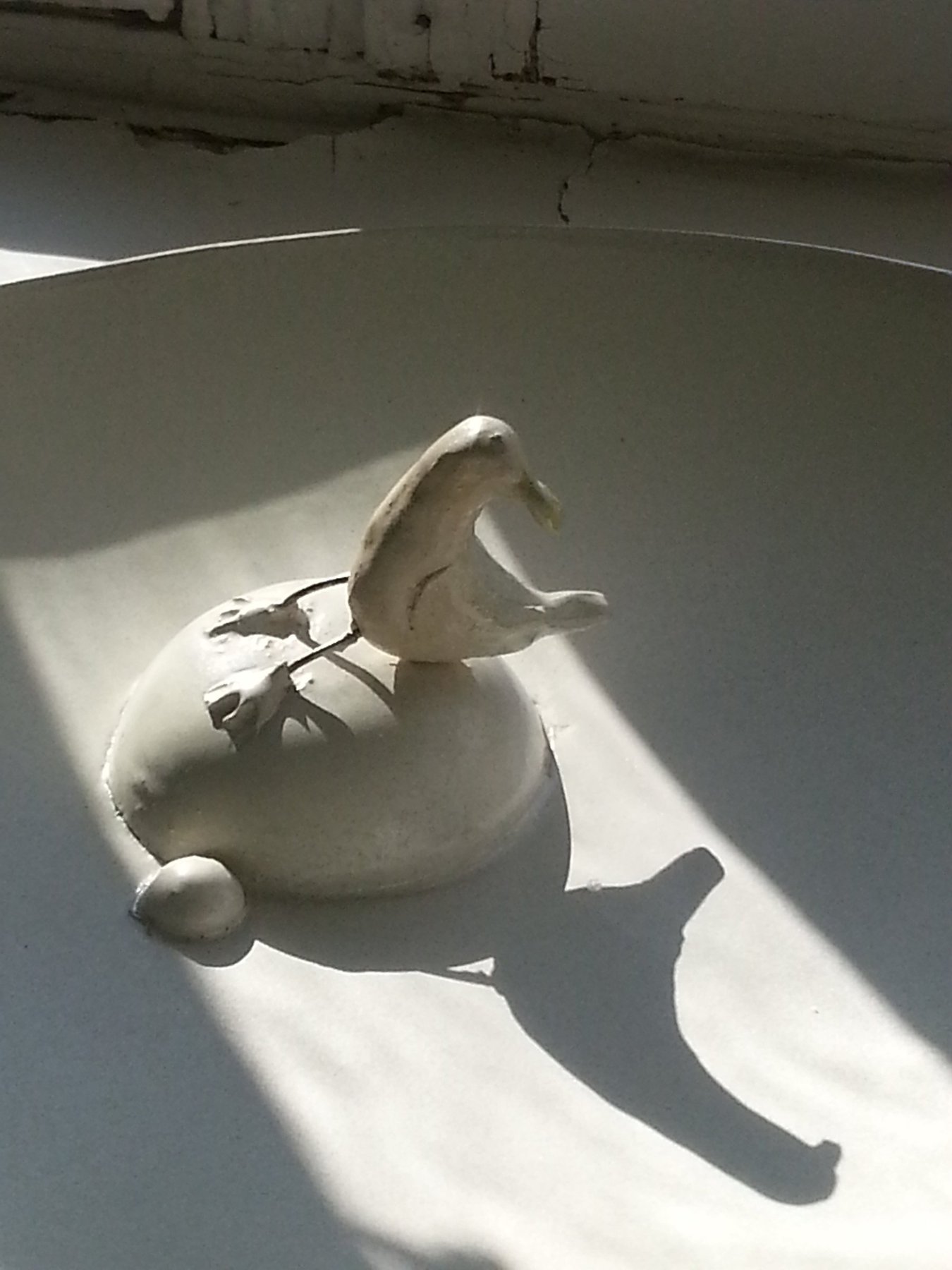 Gull Plates